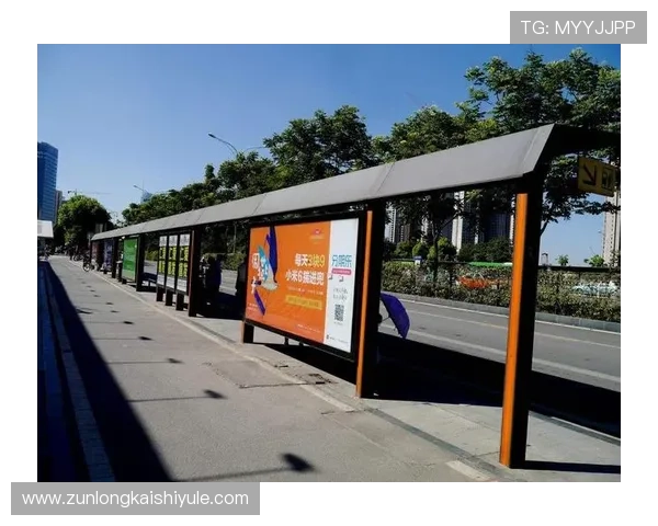 尊龙现金d88的用户反馈与体验分享：真实玩家的声音