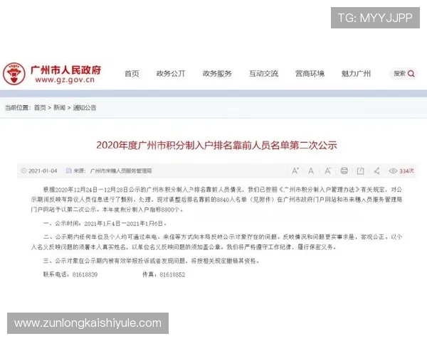 尊龙网址集团官网查询入口官方正式网站导航及使用指南